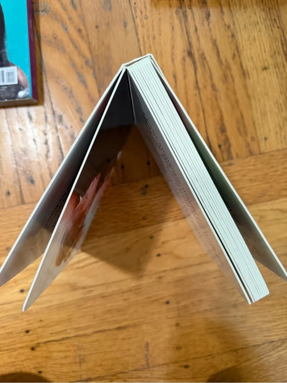 4 Books - Lovevery book bundle 2-3 years old